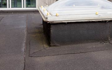 disadvantages of Bryn Du flat roofs