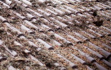 Bryn Du roof cleaning companies